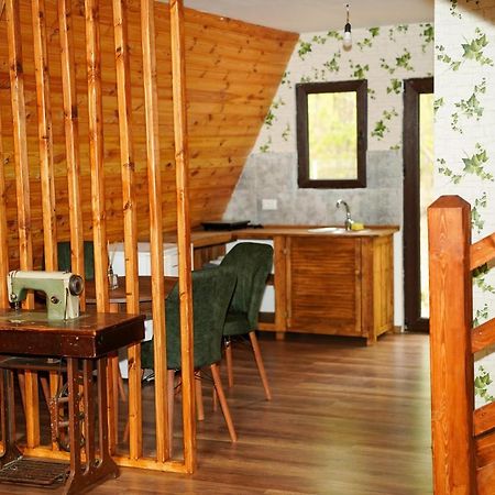Artarica Villa Calugarenii  Екстериор снимка