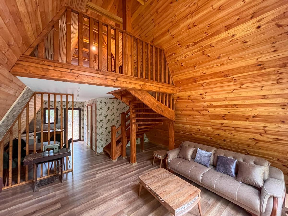 Artarica Villa Calugarenii  Екстериор снимка