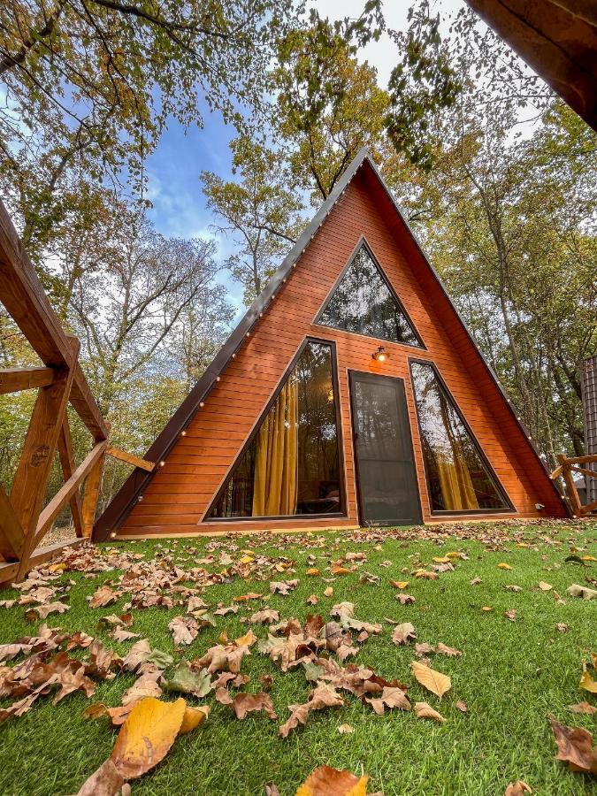 Artarica Villa Calugarenii  Екстериор снимка