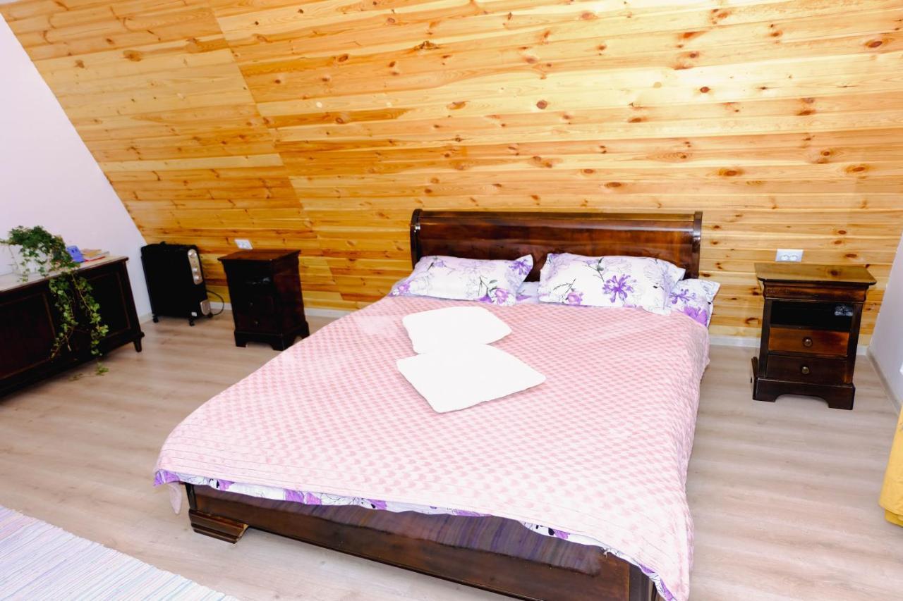 Artarica Villa Calugarenii  Екстериор снимка