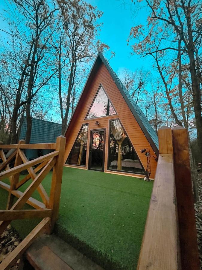 Artarica Villa Calugarenii  Екстериор снимка