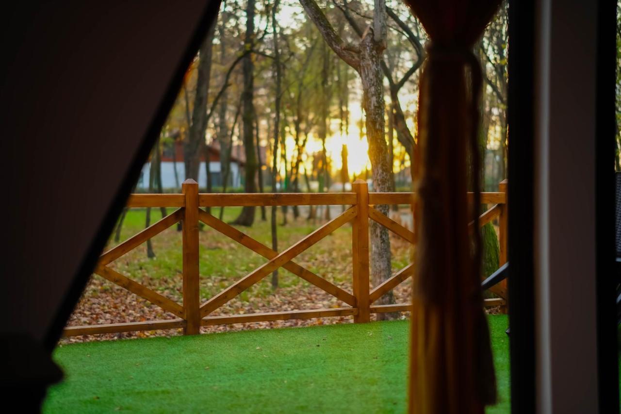 Artarica Villa Calugarenii  Екстериор снимка