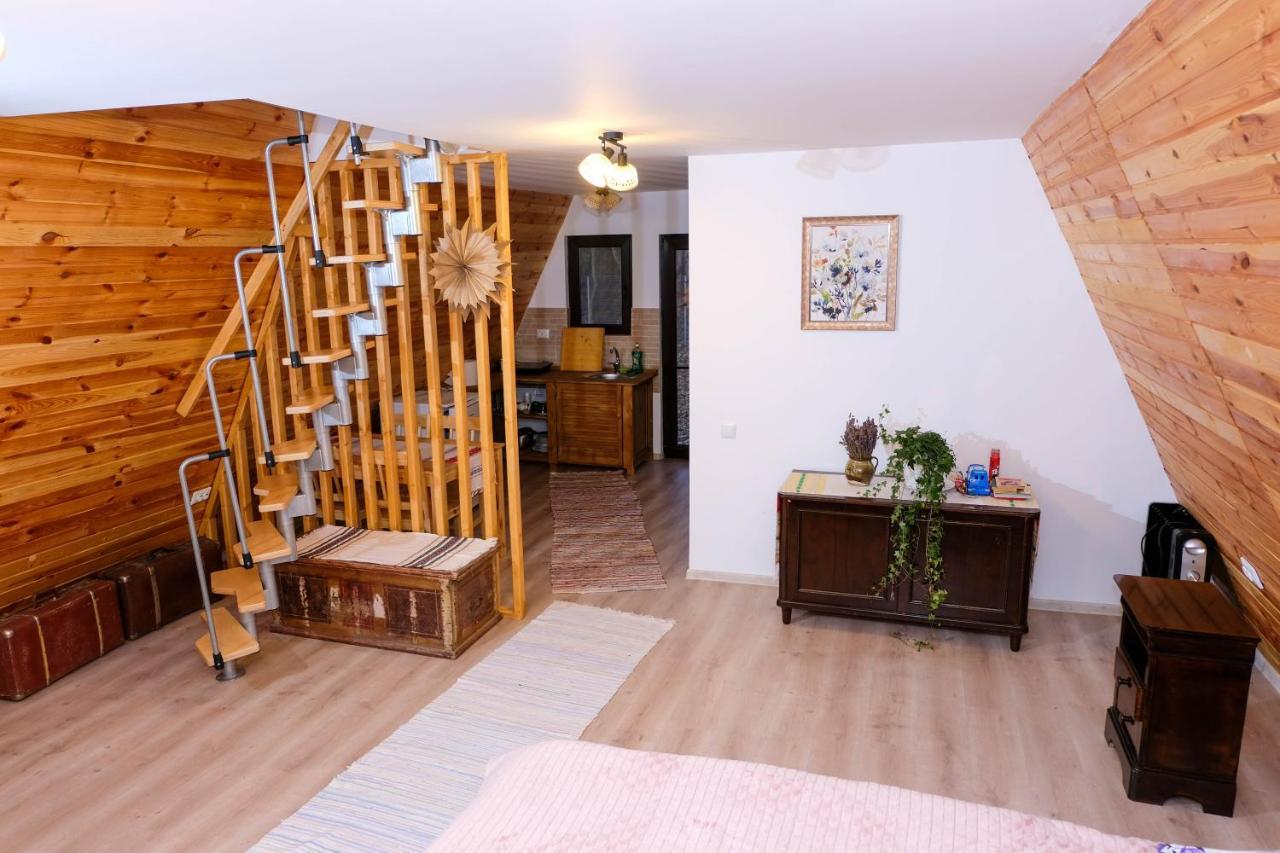 Artarica Villa Calugarenii  Екстериор снимка