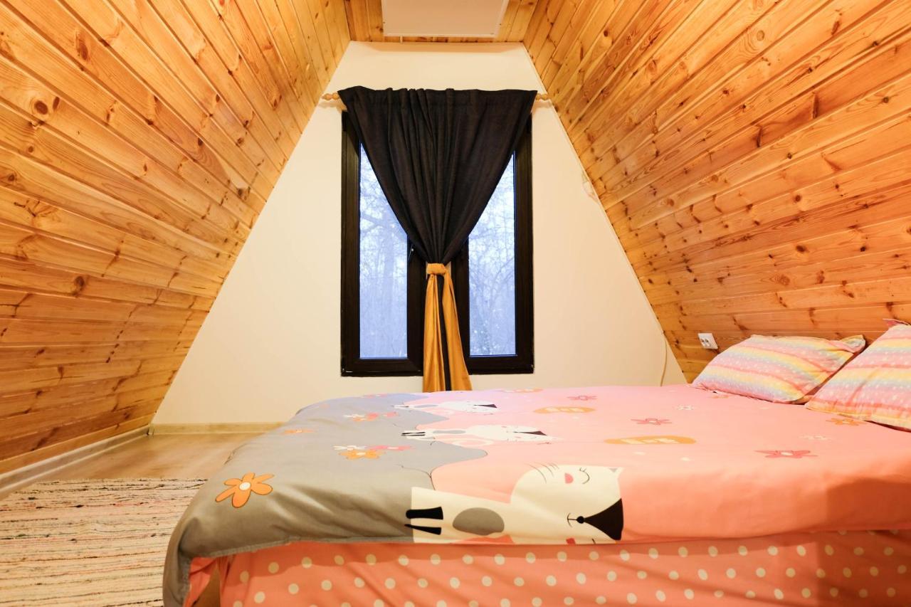 Artarica Villa Calugarenii  Екстериор снимка