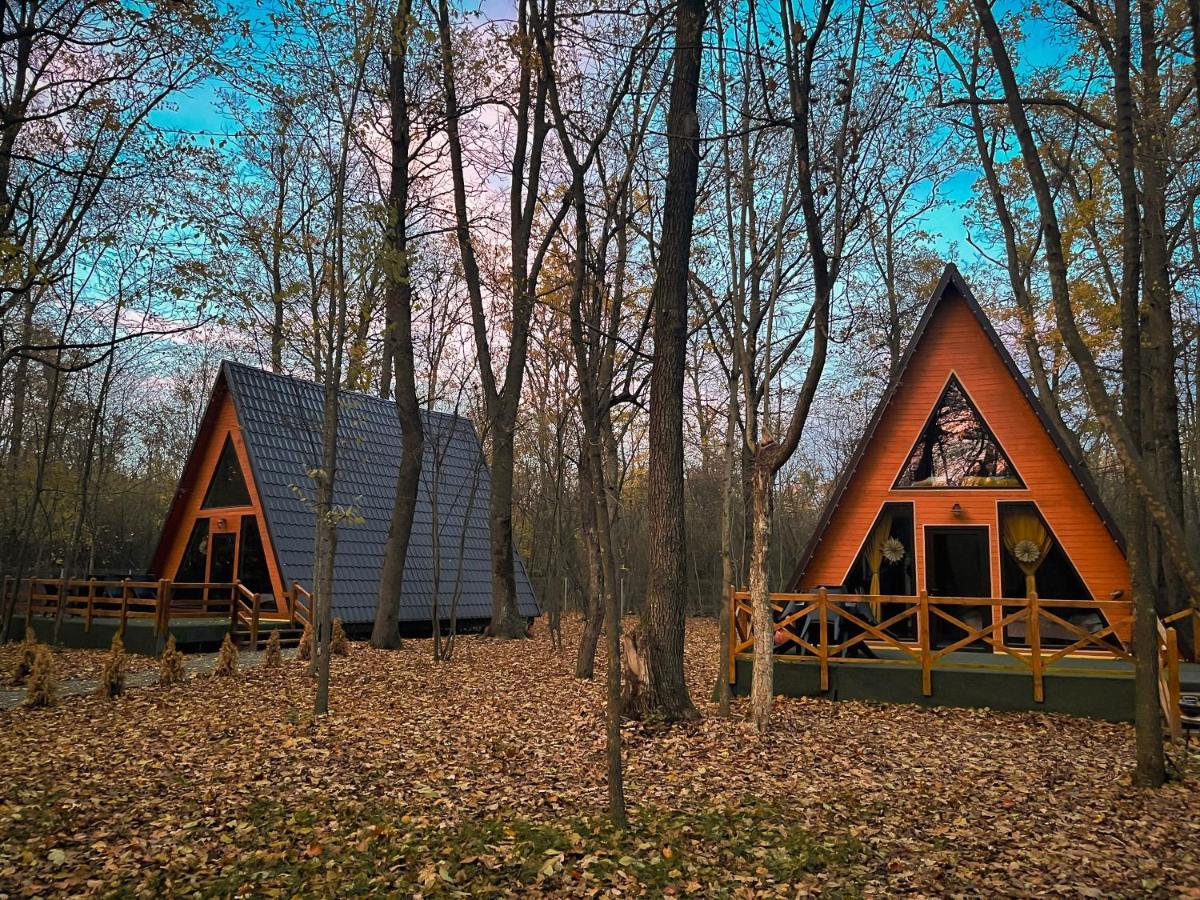 Artarica Villa Calugarenii  Екстериор снимка