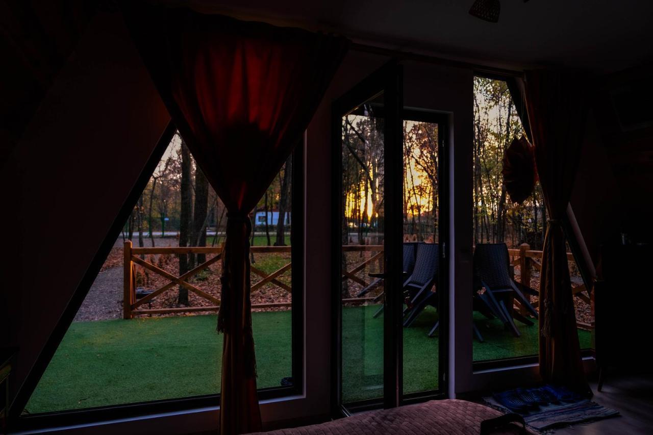 Artarica Villa Calugarenii  Екстериор снимка