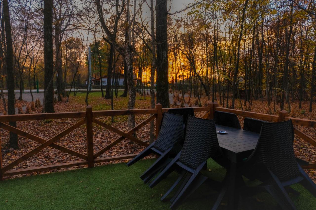 Artarica Villa Calugarenii  Екстериор снимка